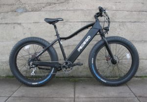 e bike