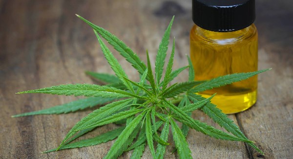 cbd oils
