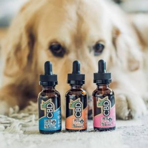 CBD for dogs